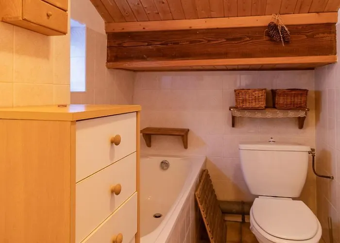 Magnifique Mistouflon Chalet La Plagne